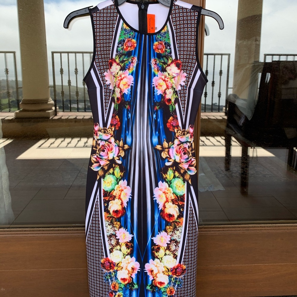 Clover Canyon dress